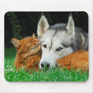 Somali cat and Siberian Husky cute friends huddle Mouse Mat