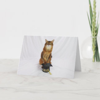 Somali Cat Graduation Cap Greeting for Grads Card