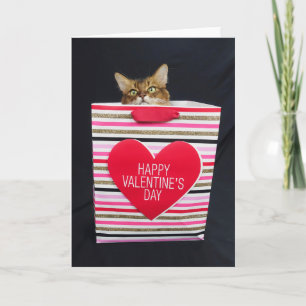 Somali Cat in a Happy Valentine's Day Bag Card