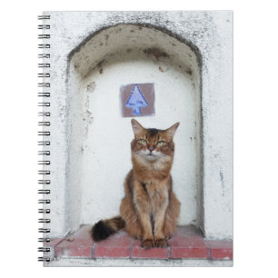 Somali Cat in Alcove Old World Scene Notebook