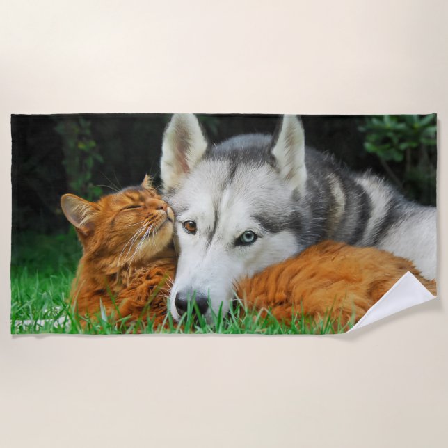 Somali Cat Siberian Husky Cute Friends Huddle Love Beach Towel (Front)