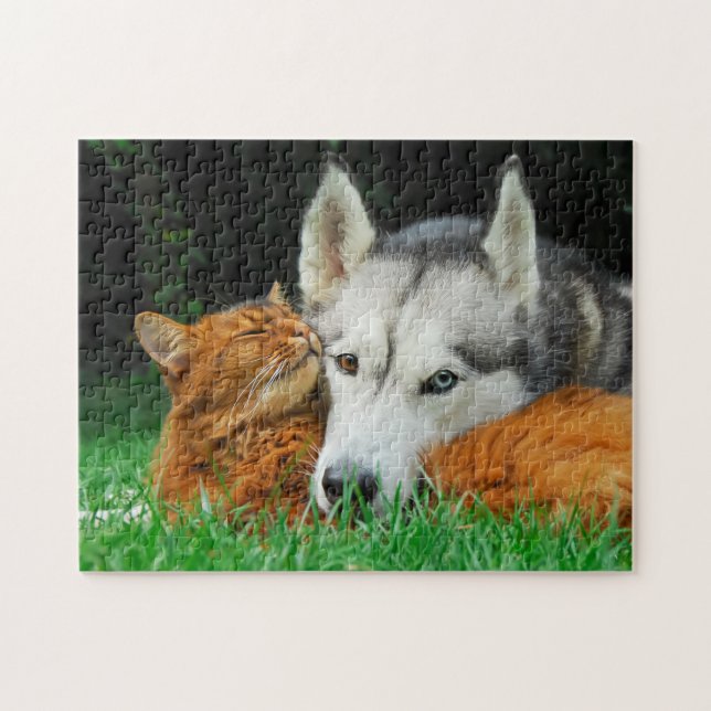 Somali Cat Siberian Husky Cute Friends Huddle Love Jigsaw Puzzle (Horizontal)