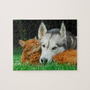 Somali Cat Siberian Husky Cute Friends Huddle Love Jigsaw Puzzle