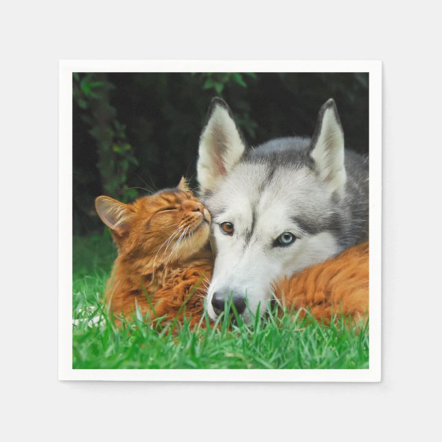 Somali Cat Siberian Husky Cute Friends Huddle Love Napkin (Front)