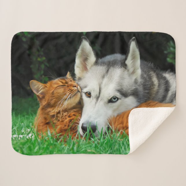 Somali Cat Siberian Husky Cute Friends Huddle Love Sherpa Blanket (Front (Horizontal))