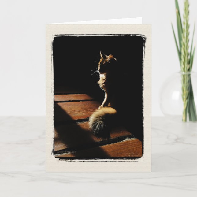 Somali Cat Silhouette Card (Front)