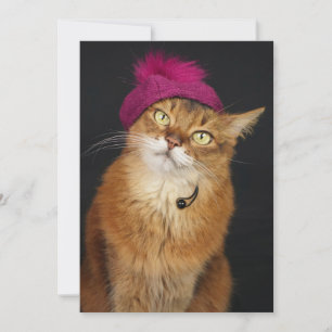 Somali Cat Wearing a Raspberry Beret Holiday Card