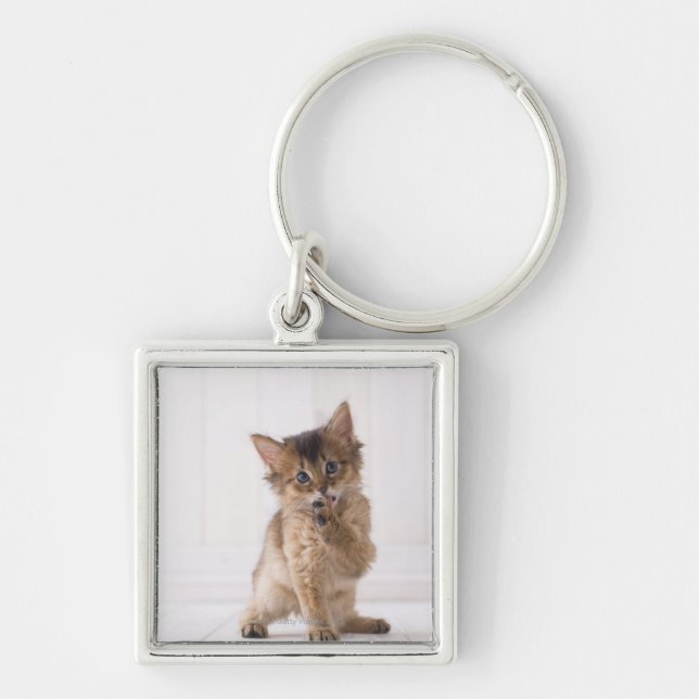 Somali Licking Forefoot Key Ring (Front)