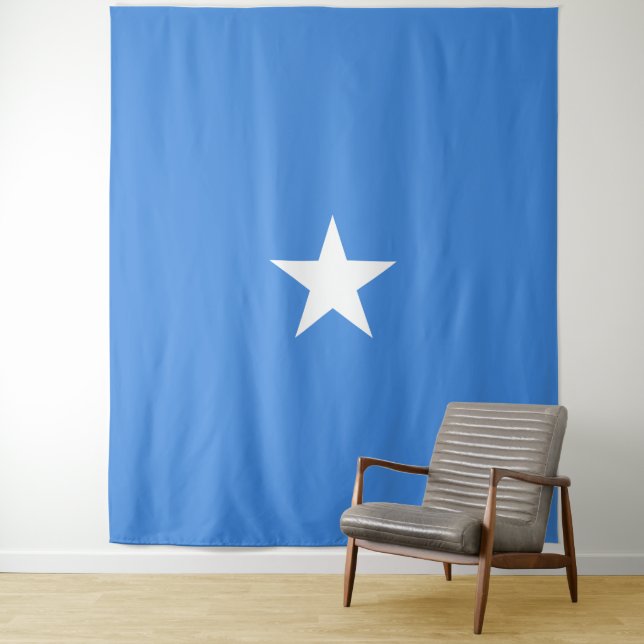 Somalia Flag Tapestry (In Situ)