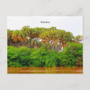Somalia, landscape photograph postcard