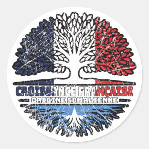 Somalia Somali French France Tree Roots Flag Classic Round Sticker