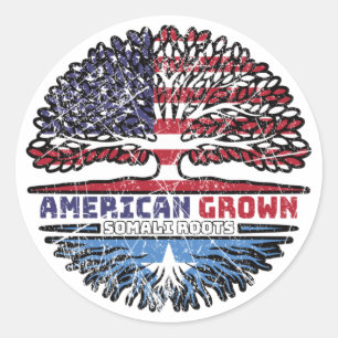 Somalia Somali US American USA United States Tree Classic Round Sticker