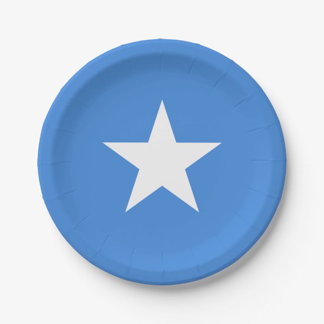 Somalia (Somalian) Flag Paper Plate (Front)