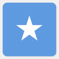 Somalia (Somalian) Flag