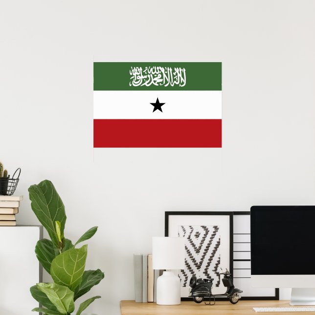 Somaliland flag poster (Home Office)