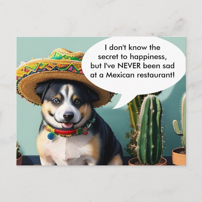 sombrero perro meme postcard (Front)