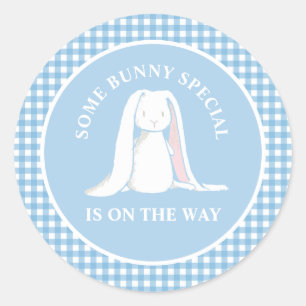 Some Bunny blue gingham baby shower Classic Round Sticker