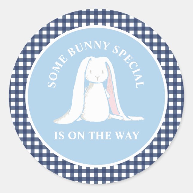 Some Bunny blue gingham baby shower Classic Round Sticker (Front)