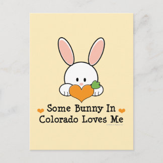 Some Bunny In Colorado Loves Me Postcard