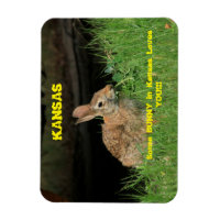 Some Bunny in Kansas Loves You Magnet.