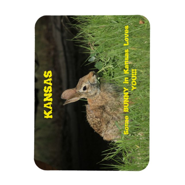Some Bunny in Kansas Loves You Magnet. Magnet (Vertical)