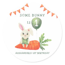 Some Bunny is One Birthday