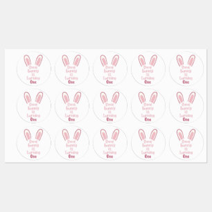 Some bunny is turning one- adhesive stickers