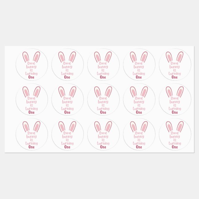 Some bunny is turning one- adhesive stickers  (Sheet)