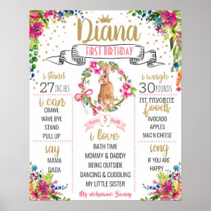 Some Bunny is turning one Birthday Party sign