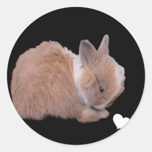 Some Bunny Loves Me Classic Round Sticker