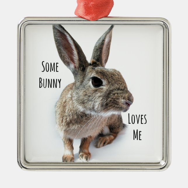 Some Bunny Loves Me Collection Rabbit Easter Metal Tree Decoration (Front)