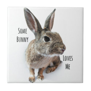 Some Bunny Loves Me Collection Rabbit Easter Tile