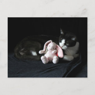 Some Bunny Loves Me Post Card