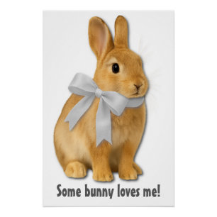 Some bunny loves me! poster