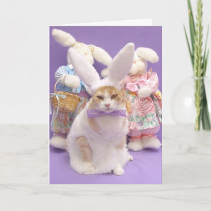 Some bunny loves you! card