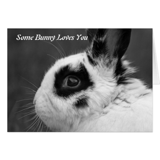 Some bunny loves you card (Front Horizontal)