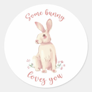 Some Bunny Loves You  Classic Round Sticker