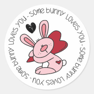 Some Bunny Loves You Classic Round Sticker