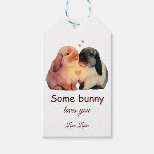 Some Bunny Loves You Couple Love Gift Tags