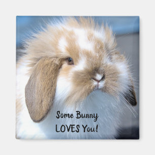 Some Bunny Loves You - Fluffy Holland Lop Magnet