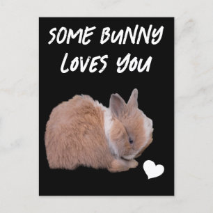 Some Bunny Loves You Postcard