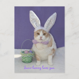 Some bunny loves you. postcard