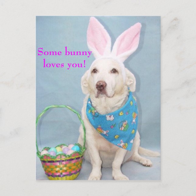Some bunny loves you! postcard (Front)