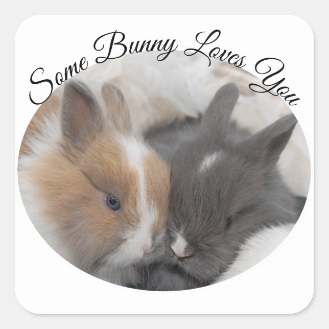 Some Bunny Loves You Square Sticker (Front)