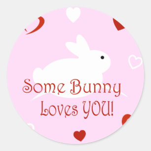 Some Bunny Loves You Valentine's Day Stickers