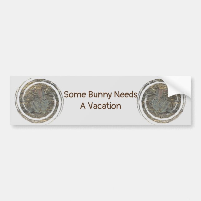 Some Bunny Needs Vacation Small Rabbit Relax Bumper Sticker (Front)
