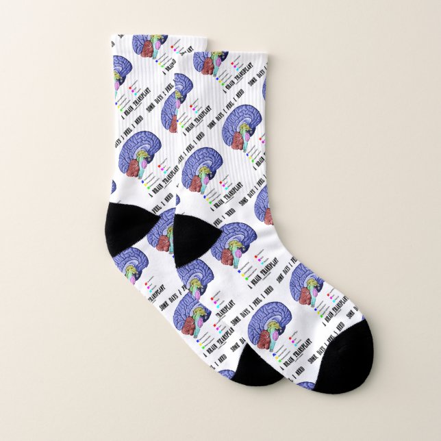 Some Days I Feel I Need A Brain Transplant Socks (Pair)
