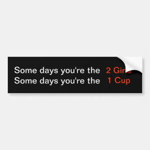 Some days you're the 2 Girls...bumper sticker