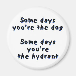 Some days you're the dog magnet