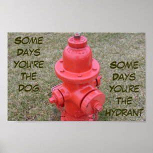 Some Days You're The Dog, Some Days The Hydrant Poster
